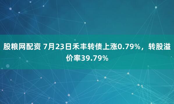 股粮网配资 7月23日禾丰转债上涨0.79%，转股溢价率39.79%